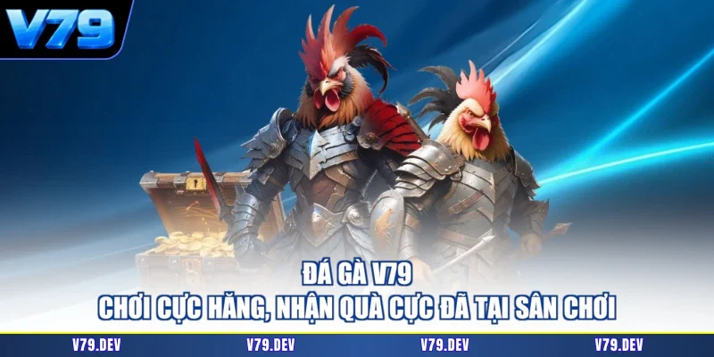 Đá Gà V79 - Chơi Cực Hăng, Nhận Quà Cực Đã Tại Sân Chơi