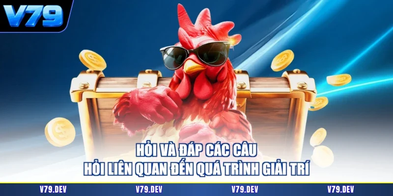 Hỏi và đáp các câu hỏi liên quan đến quá trình giải trí