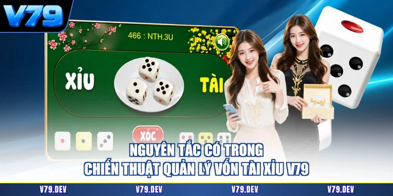 Nguyên tắc có trong chiến thuật quản lý vốn Tài Xỉu V79